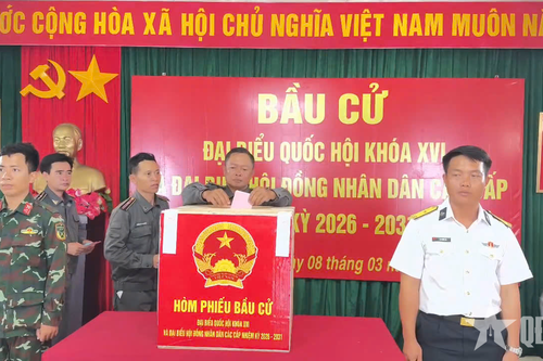 Những lá phiếu giữa trùng khơi