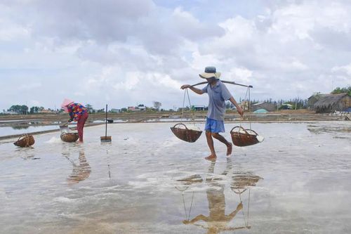 Mưa trái mùa gây thiệt hại nặng cho sản xuất nông nghiệp ở ĐBSCL