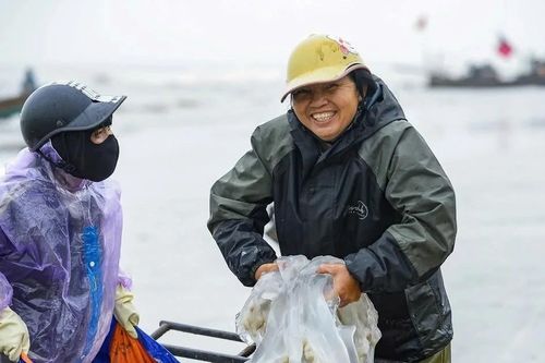Loài hải sản nổi đầy mặt biển giúp ngư dân Thanh Hóa kiếm tiền triệu mỗi ngày