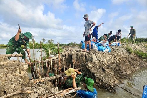 Đồn Biên phòng Tân Tiến kịp thời hỗ trợ người dân khắc phục sự cố vỡ bờ bao vuông nuôi tôm