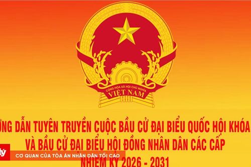 Cử tri đang điều trị tại bệnh viện bỏ phiếu như thế nào?