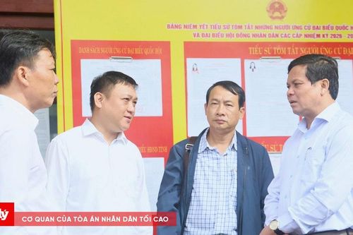 Ngư dân đặc khu Lý Sơn sắp xếp chuyến biển, hướng về ngày hội lớn