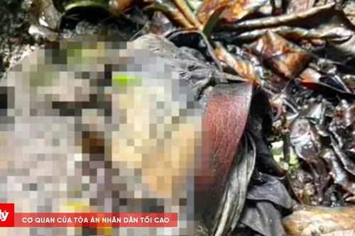 Điều tra, tìm thân nhân một thi thể phân hủy trong bìa rừng