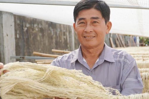Người đàn ông Cần Thơ biến lá bỏ đi thành sợi, nông dân có thêm tiền triệu