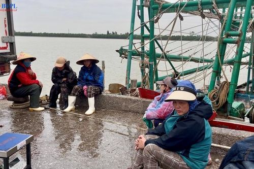 Giá dầu tăng cao, ngư dân Thanh Hóa thay đổi phương thức đi biển