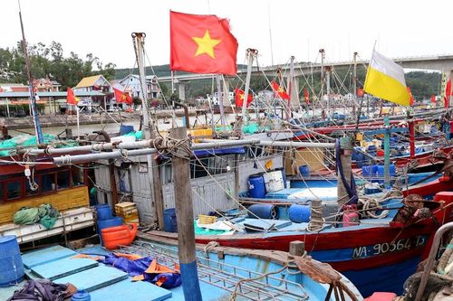 Giá xăng dầu tăng cao, nhiều tàu thuyền ở Nghệ An nằm bờ