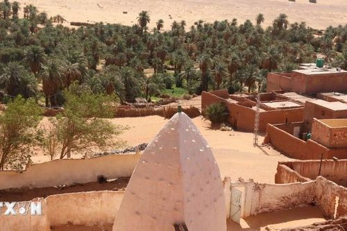 Khám phá cuộc sống nơi ốc đảo trên sa mạc Sahara