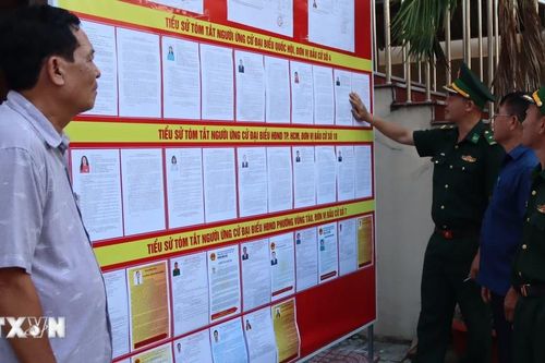 TP Hồ Chí Minh: Ngư dân chủ động thu xếp chuyến biển để tham gia bầu cử