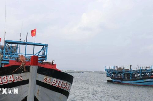 Ngư dân Đà Nẵng gặp khó vì giá dầu tăng cao