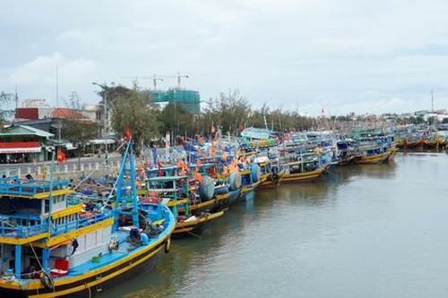Bến cá Phan Thiết đìu hiu, tàu cá dè dặt ra khơi vì nhiên liệu tăng giá