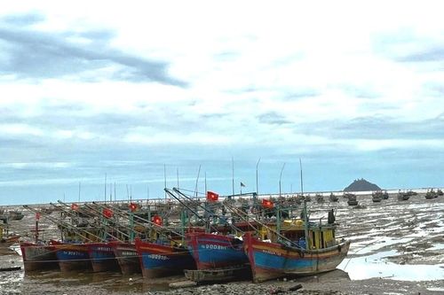 Xăng dầu tăng giá, nhiều ngư dân xã Vạn Lộc phải tạm 'gác thuyền'