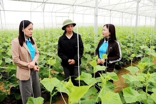 Hỗ trợ phụ nữ khởi nghiệp, phát triển kinh tế