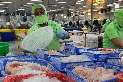 Vasep: Doanh nghiệp xuất khẩu thủy sản đối diện nhiều mối lo