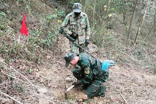 Lữ đoàn 229: Phát huy truyền thống 'mở đường thắng lợi'