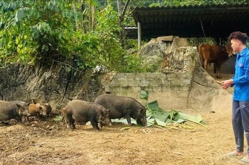 Gieo khát vọng lập nghiệp trên quê hương
