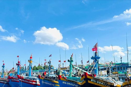 Nhiều tàu thuyền ở Lâm Đồng nằm bờ vì giá xăng dầu tăng cao