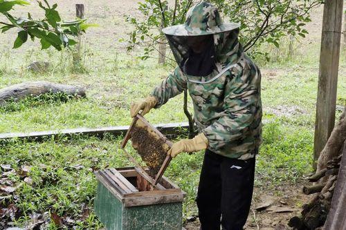 Tận dụng lợi thế để phát triển kinh tế