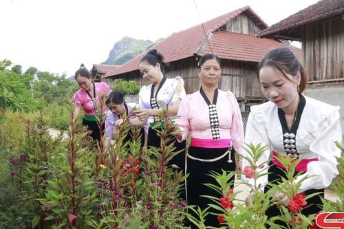 '5 không, 3 sạch' góp phần xây dựng nông thôn mới