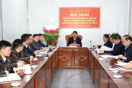 Công bố quyết định kiểm tra, giám sát của Ban Thường vụ Tỉnh ủy đối với Ban Thường vụ Đảng ủy xã Sơn Vĩ