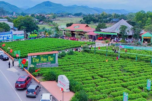 Liên kết phát triển du lịch vùng Việt Bắc