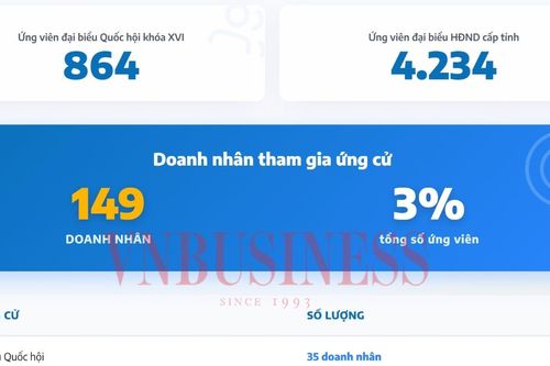 Thấy gì qua việc ngày càng nhiều doanh nhân ứng cử đại biểu Quốc hội, Hội đồng nhân dân?