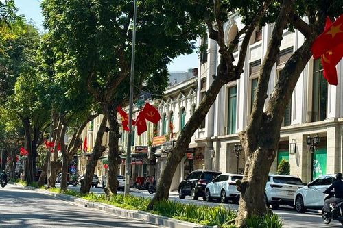 Những điểm 'check-in' hoa lá mùa xuân Hà Nội