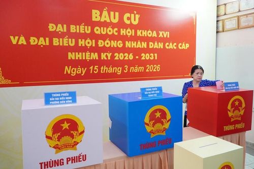 Các KOL là hoa hậu, nam vương sẽ phối hợp tuyên truyền bầu cử