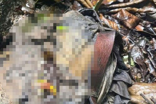 Rùng mình phát hiện bộ xương người trong bìa rừng Quảng Ngãi, nghi đã tử vong nhiều tháng: Ai là nạn nhân?