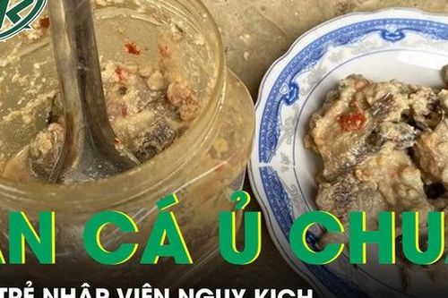 Ba trẻ nhập viện nguy kịch sau bữa cá ủ chua nghi ngộ độc Botulinum
