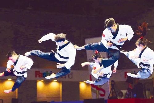 Taekwondo Việt Nam với thế hệ mới hướng tới Olympic 2028
