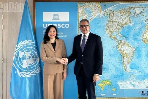 Tổng Giám đốc UNESCO đánh giá cao mối quan hệ tốt đẹp với Việt Nam