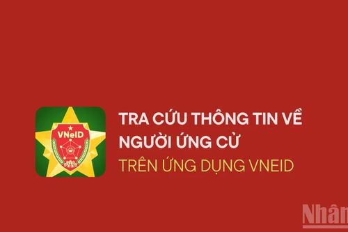 Cách tra cứu thông tin về người ứng cử đại biểu Quốc hội và Hội đồng nhân dân trên VNeID