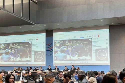 Việt Nam phát huy vai trò cầu nối, thúc đẩy đối thoại và kêu gọi các thành viên WTO tăng cường hợp tác