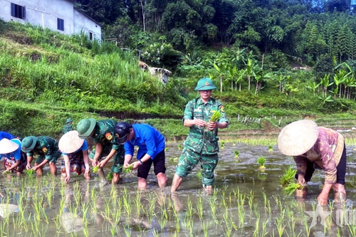 Hiệu quả từ các mô hình giúp dân của Bộ đội Biên phòng Thanh Hóa