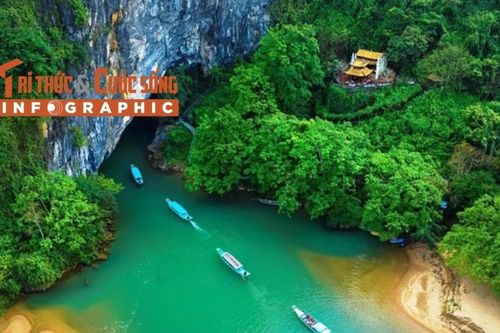 [INFOGRAPHIC] Loài thực vật quý hiếm mới ghi nhận ở VQG Phong Nha - Kẻ Bàng
