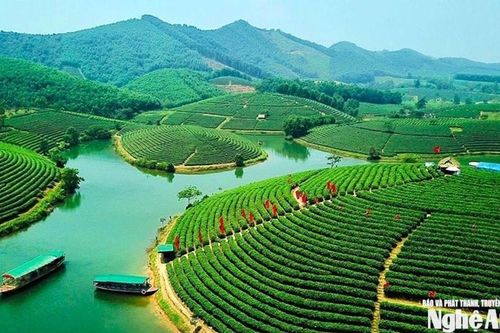 Thời tiết Nghệ An ngày 11/3: Sáng sớm có mưa nhỏ, trưa và chiều trời nắng