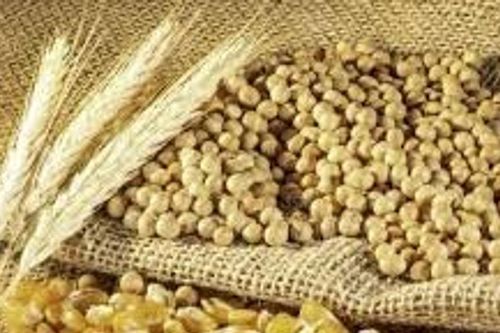 FAO dự báo sản lượng ngũ cốc toàn cầu niên vụ 2025/26 đạt kỷ lục 3.029 triệu tấn