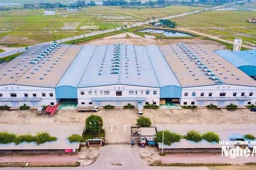 Nghệ An bàn giải pháp tháo gỡ khó khăn, vướng mắc phát triển cụm công nghiệp