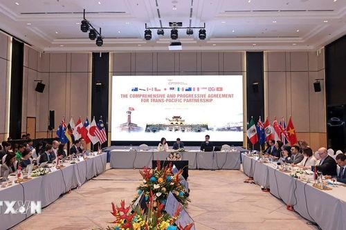 Khai mạc Phiên họp Quan chức cấp cao Hiệp định CPTPP lần thứ nhất năm 2026
