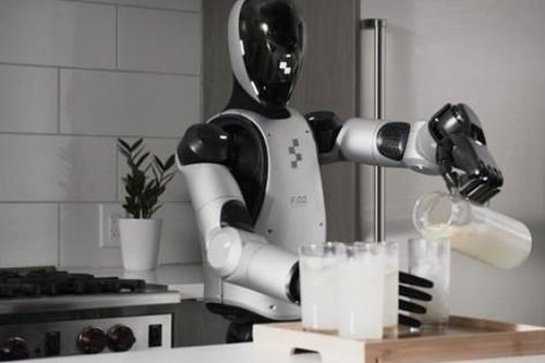 Đây là robot hình người giúp các bà nội trợ nhàn tênh
