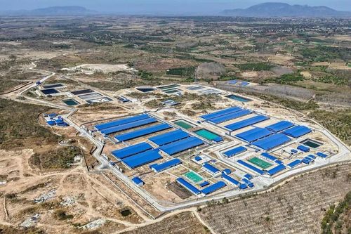 Gia Lai: Dự án chăn nuôi gần 1.000 tỷ đồng vận hành sớm 10 tháng