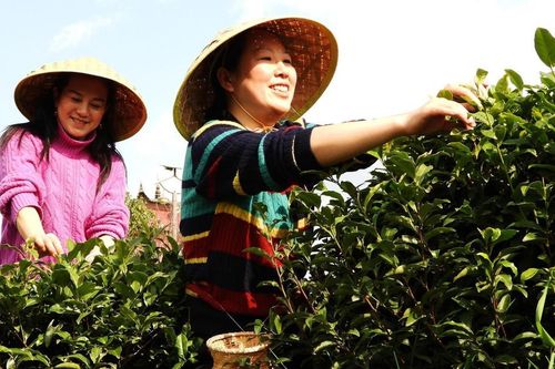 1+1+1: Mô hình sinh kế gia đình thúc đẩy bình đẳng giới