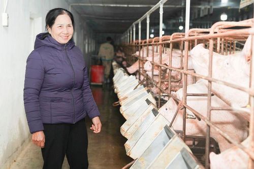 Bà chủ 58 tuổi biến đất mặn thành 'đất vàng'
