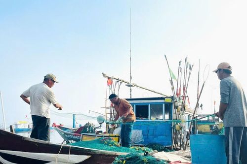Đà Nẵng tăng cường bảo vệ và phát triển nguồn lợi thủy sản