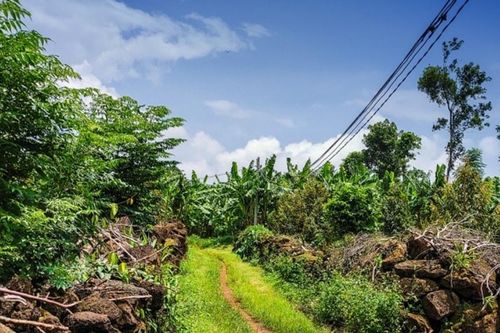 Đồng Nai: Khám phá Hang Cọp Ba Móng bí ẩn giữa lòng núi lửa cổ