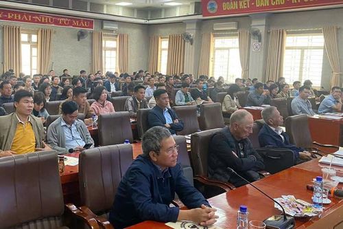 Hơn 150 học viên tham gia tập huấn nhận diện nhu cầu trẻ khuyết tật