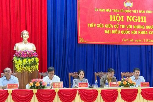 Cử tri mong muốn có chính sách hỗ trợ thanh niên khởi nghiệp tại quê nhà