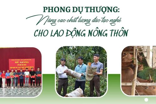 Phong Dụ Thượng: Nâng cao chất lượng đào tạo nghề cho lao động nông thôn