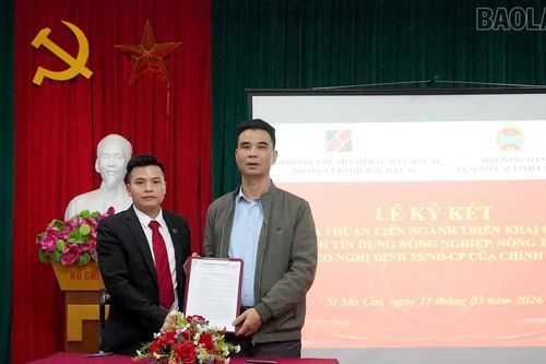 Si Ma Cai tổ chức ký kết thỏa thuận liên ngành về thực hiện chính sách tín dụng phục vụ phát triển nông nghiệp