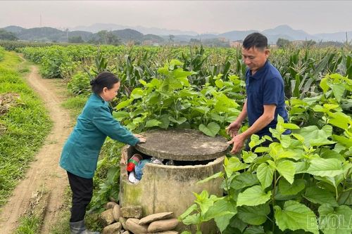 Cần một quy trình đồng bộ để bảo vệ 'sức khỏe' đất canh tác